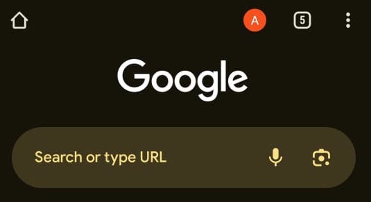 Google search bar