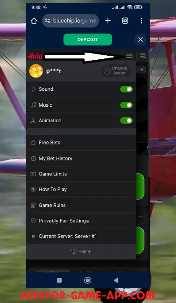 Aviator App Account Settings