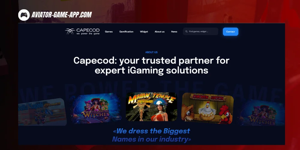 Company Overview