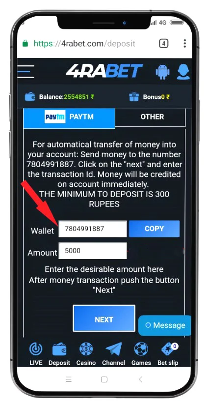 Enter the deposit amount (minimum ₹100-300).